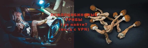 бошки Покров